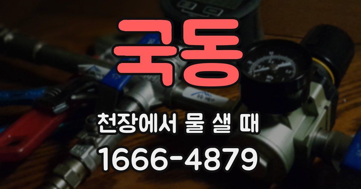 국동 천장에서 물 샐 때