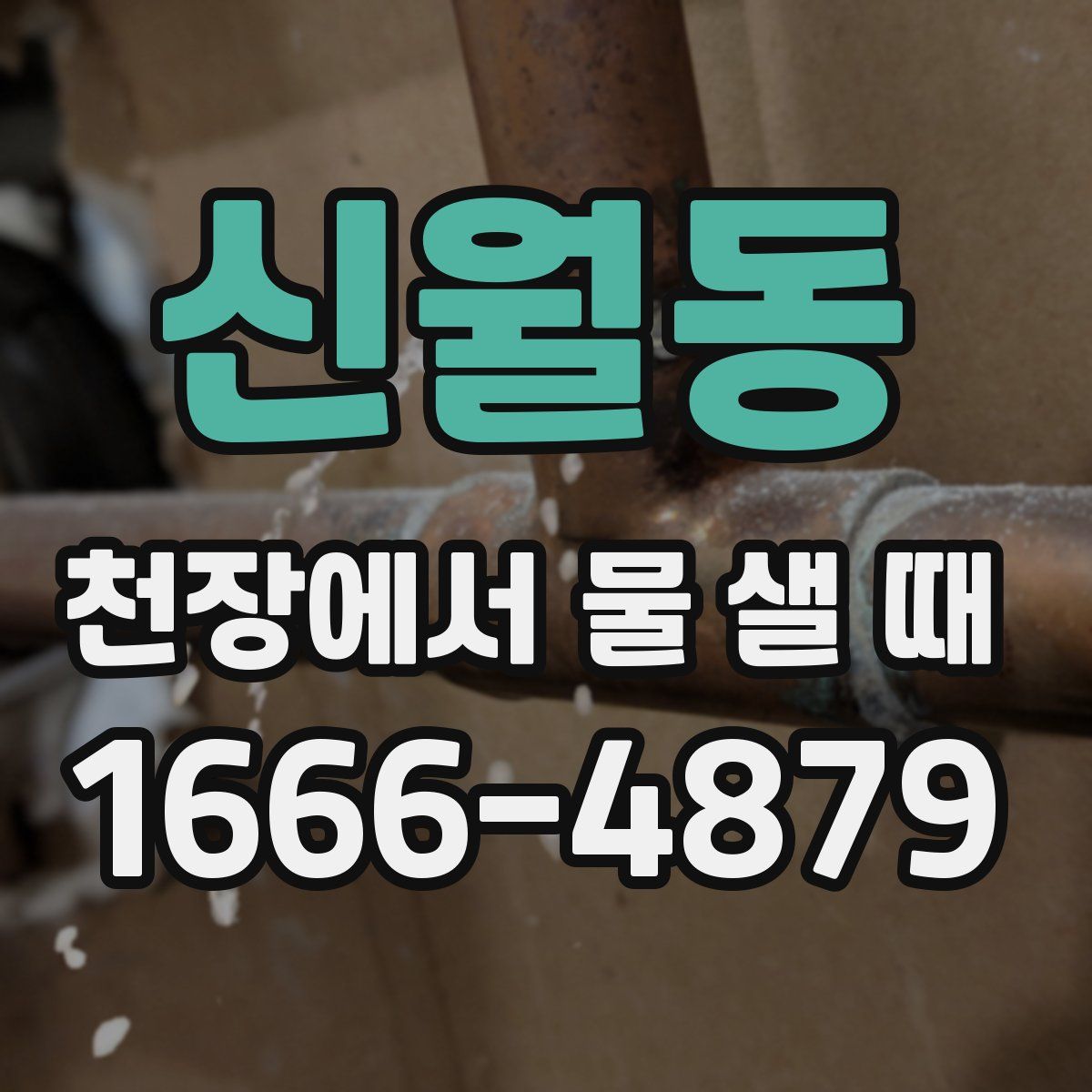 신월동 천장에서 물 샐 때