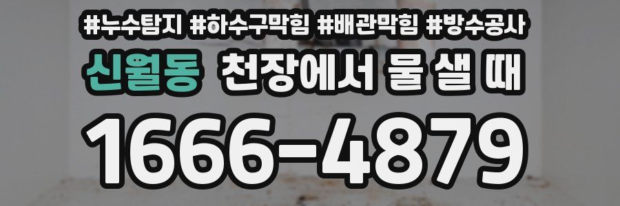 신월동 천장에서 물 샐 때