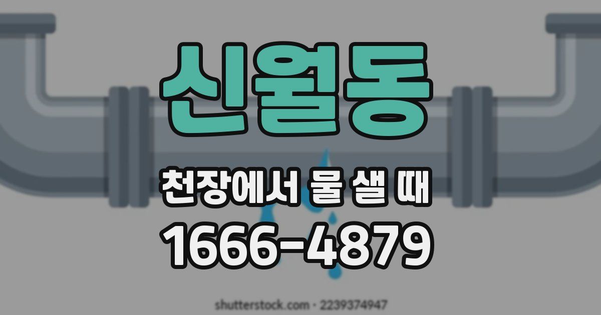 신월동 천장에서 물 샐 때