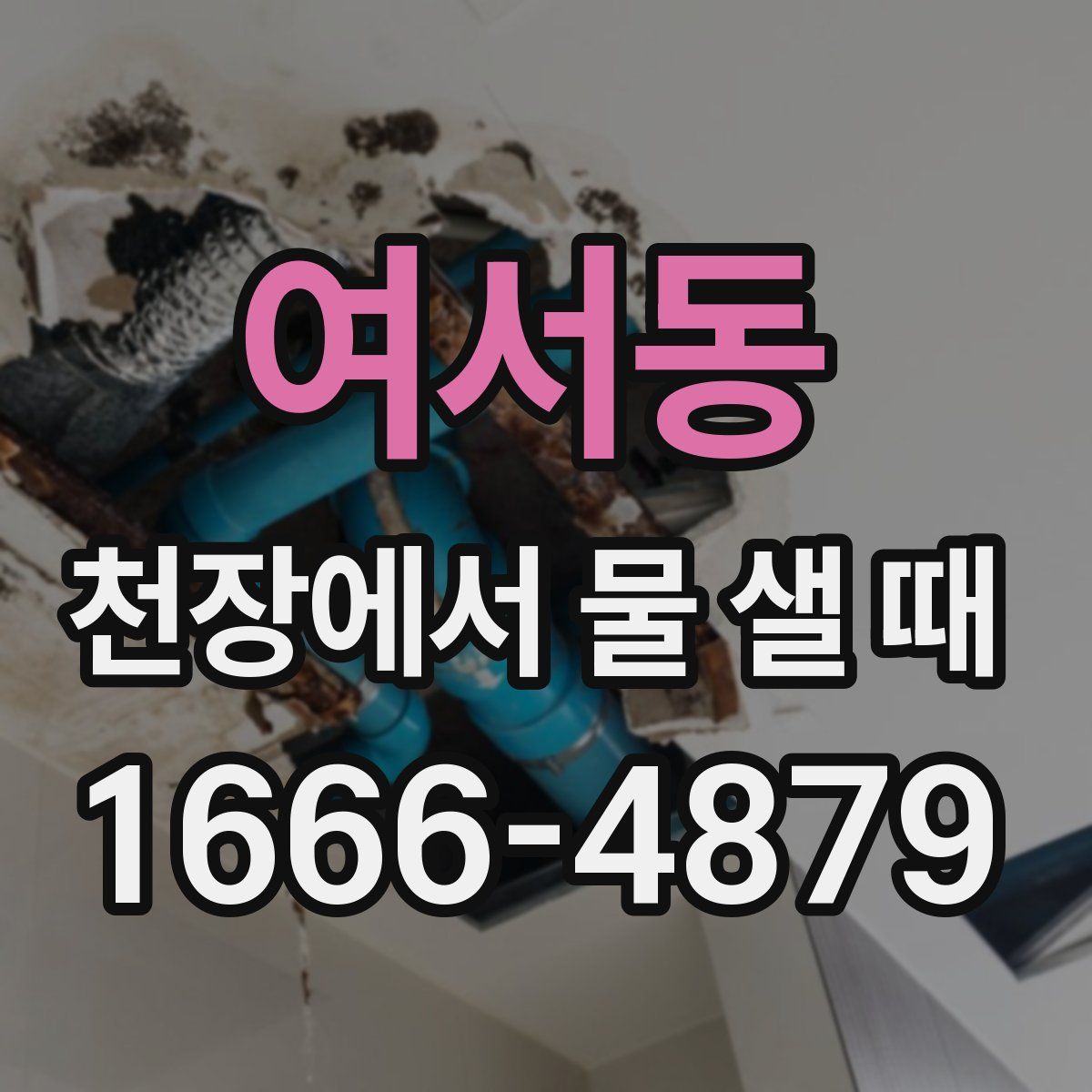 여서동 천장에서 물 샐 때