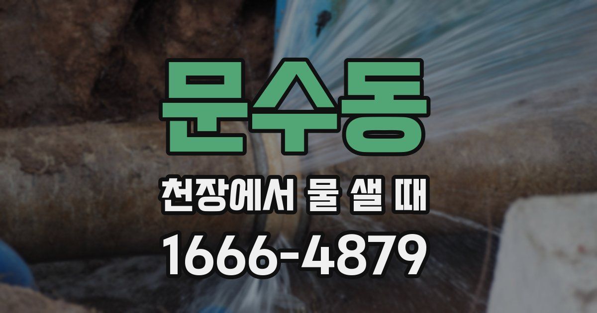 문수동 천장에서 물 샐 때