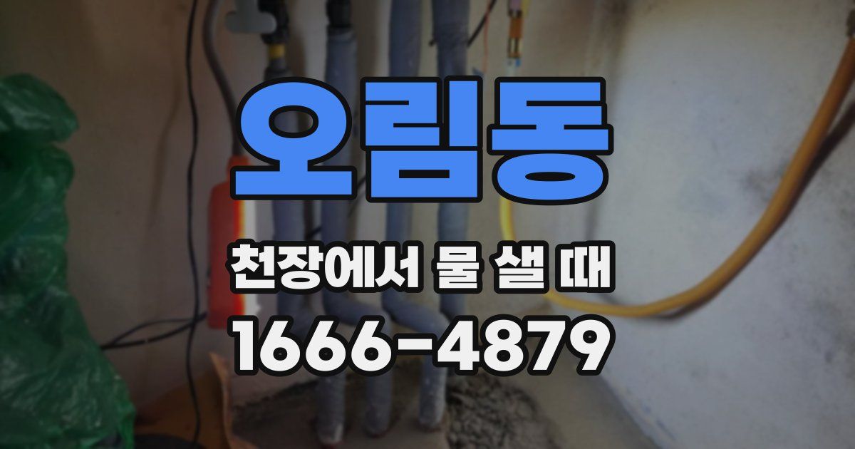 오림동 천장에서 물 샐 때