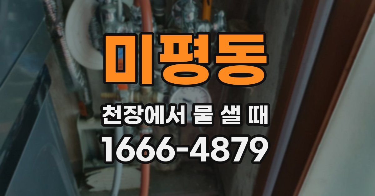 미평동 천장에서 물 샐 때
