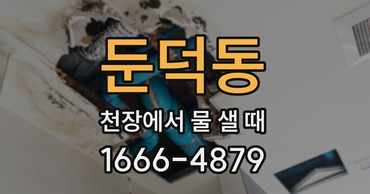 둔덕동 천장에서 물 샐 때