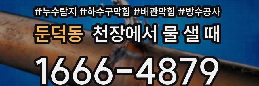 둔덕동 천장에서 물 샐 때