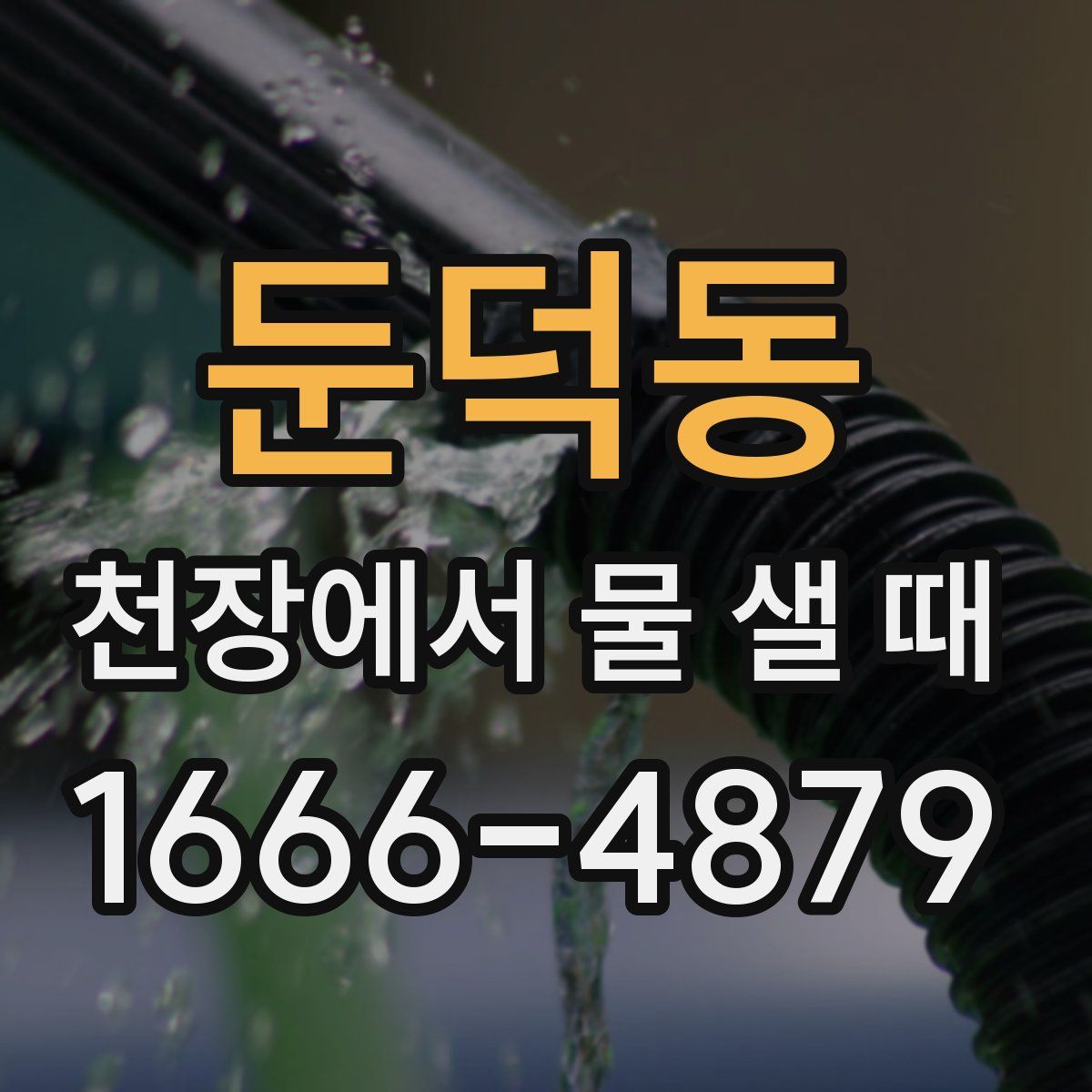 둔덕동 천장에서 물 샐 때