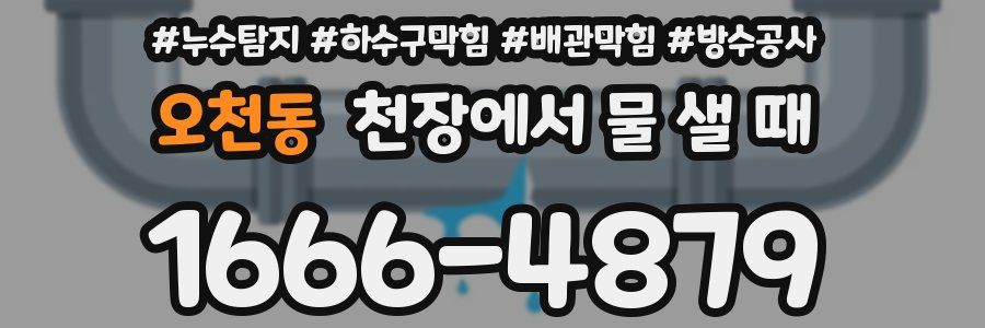 오천동 천장에서 물 샐 때