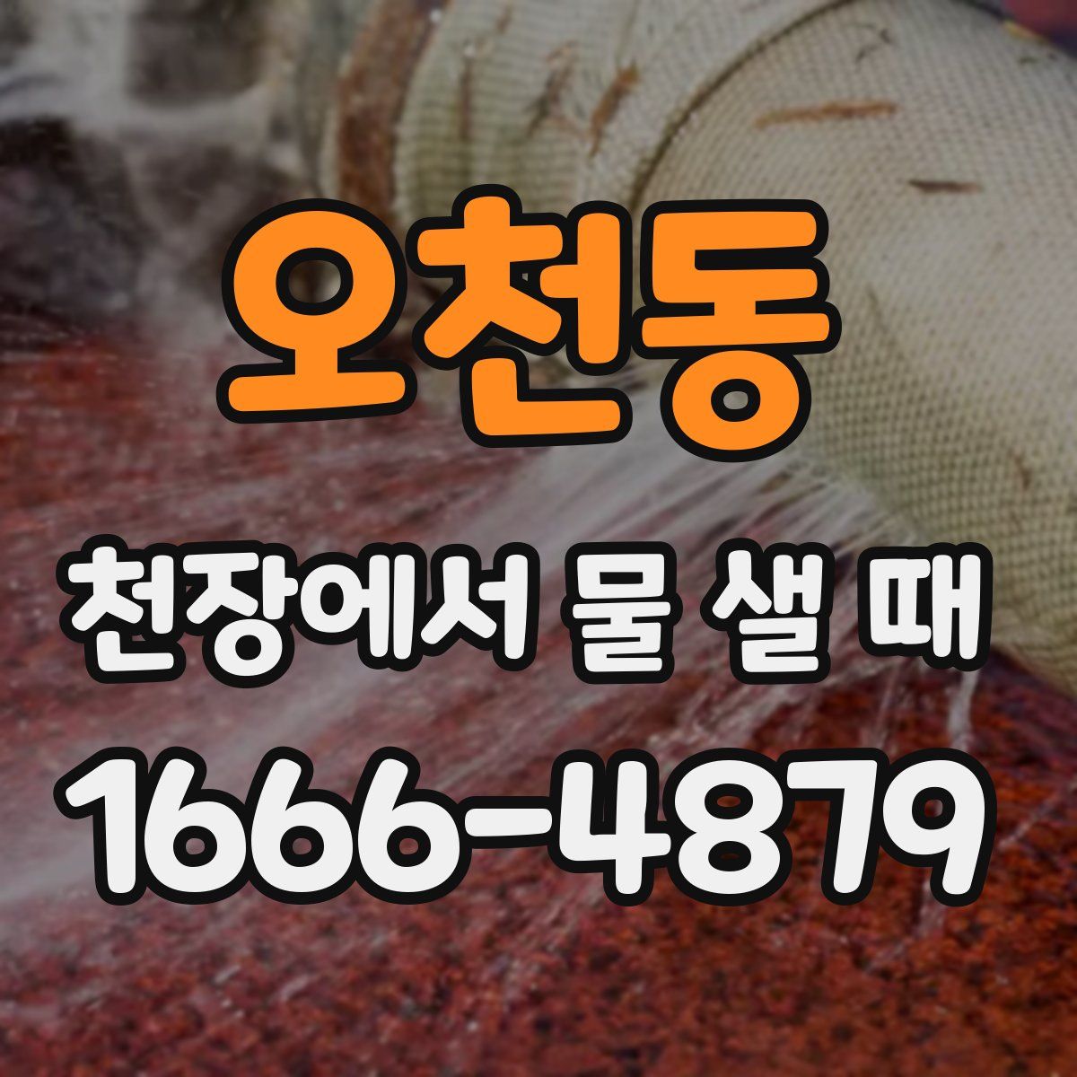 오천동 천장에서 물 샐 때