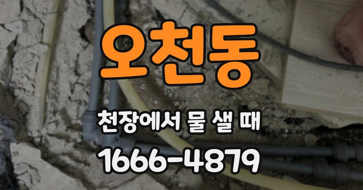 오천동 천장에서 물 샐 때