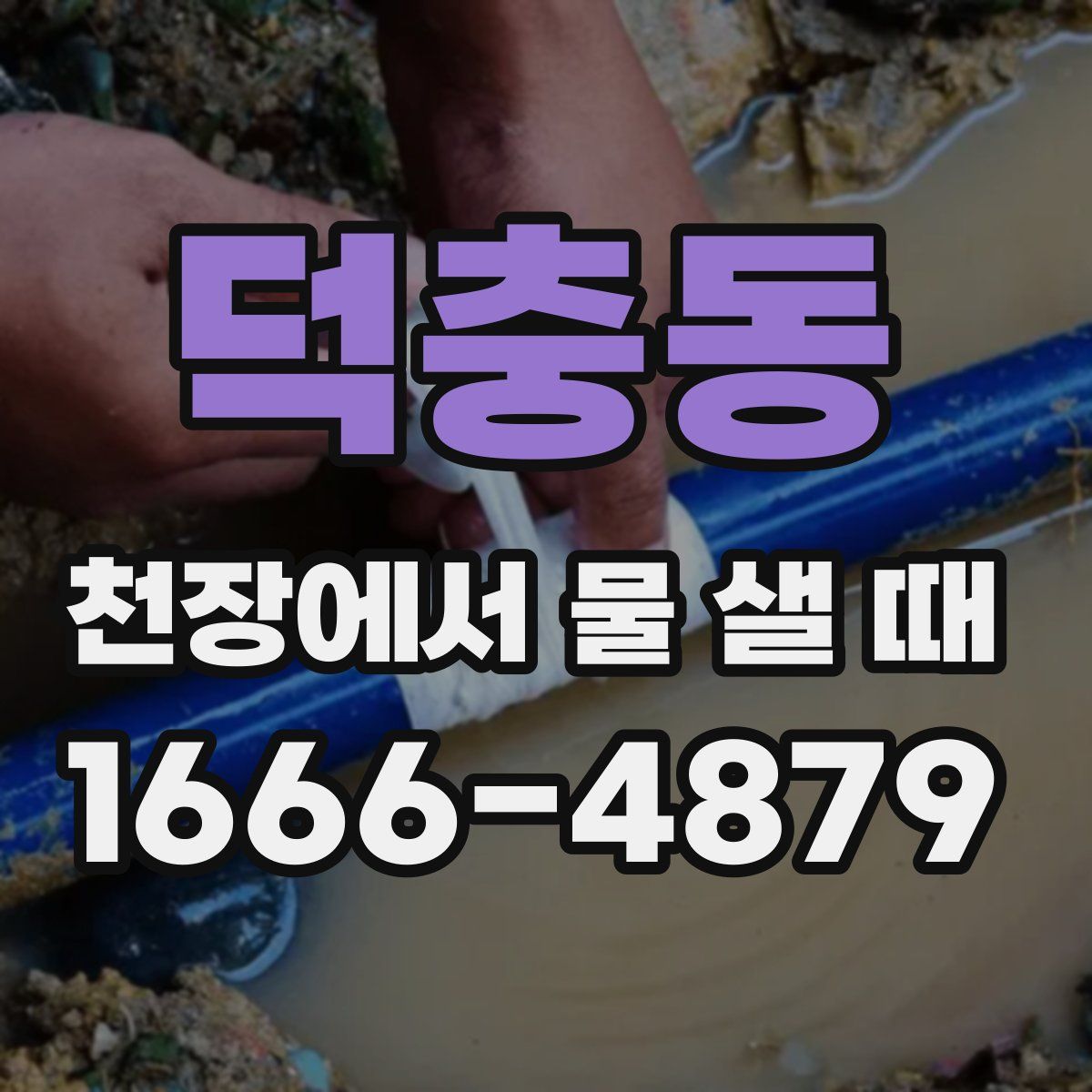 덕충동 천장에서 물 샐 때