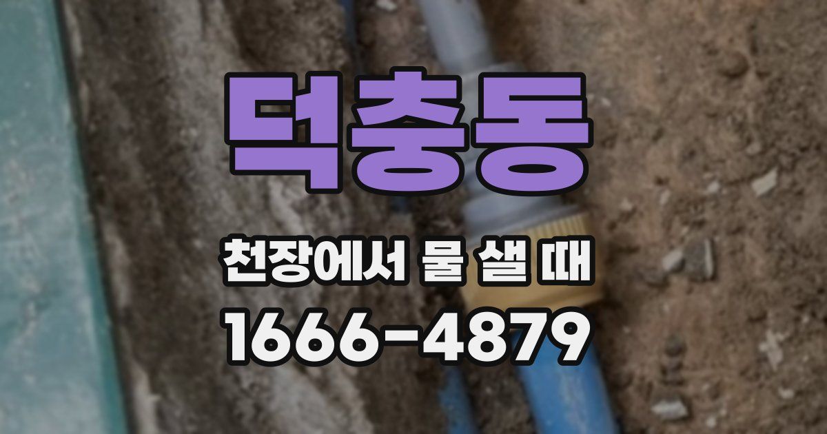 덕충동 천장에서 물 샐 때