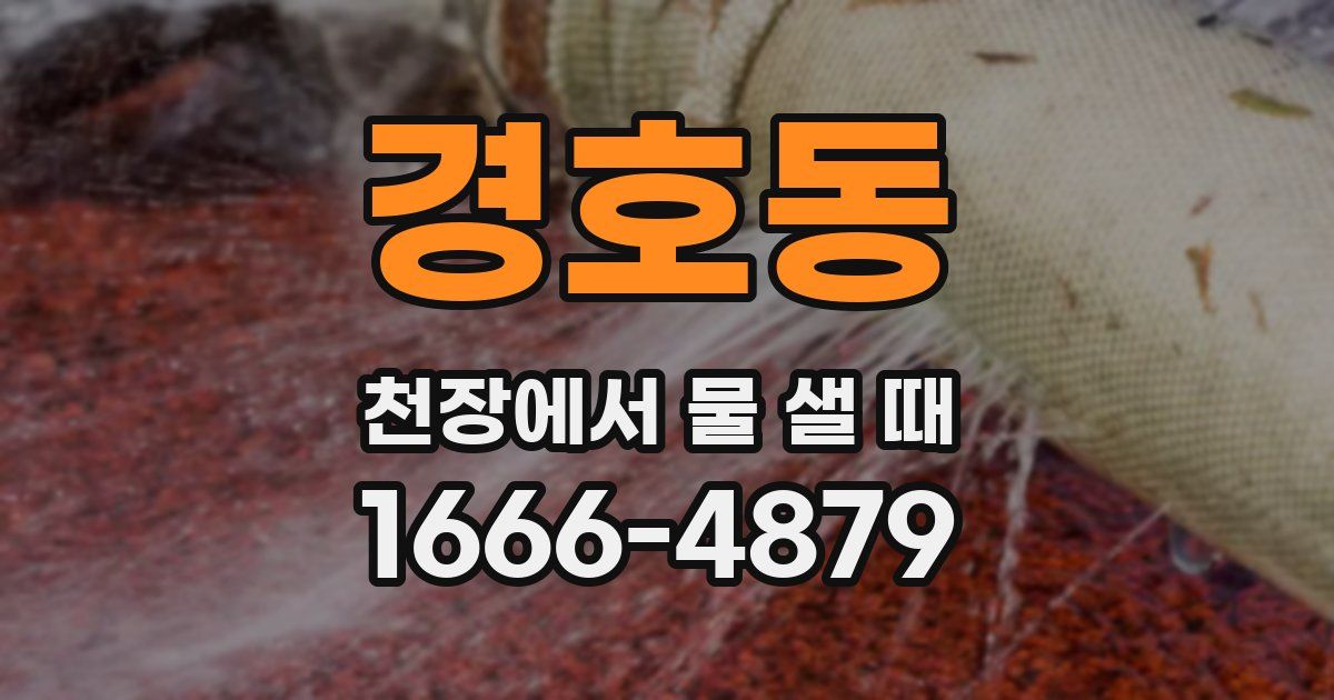 경호동 천장에서 물 샐 때