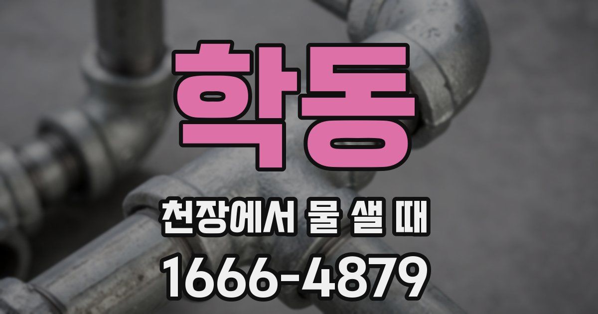 학동 천장에서 물 샐 때