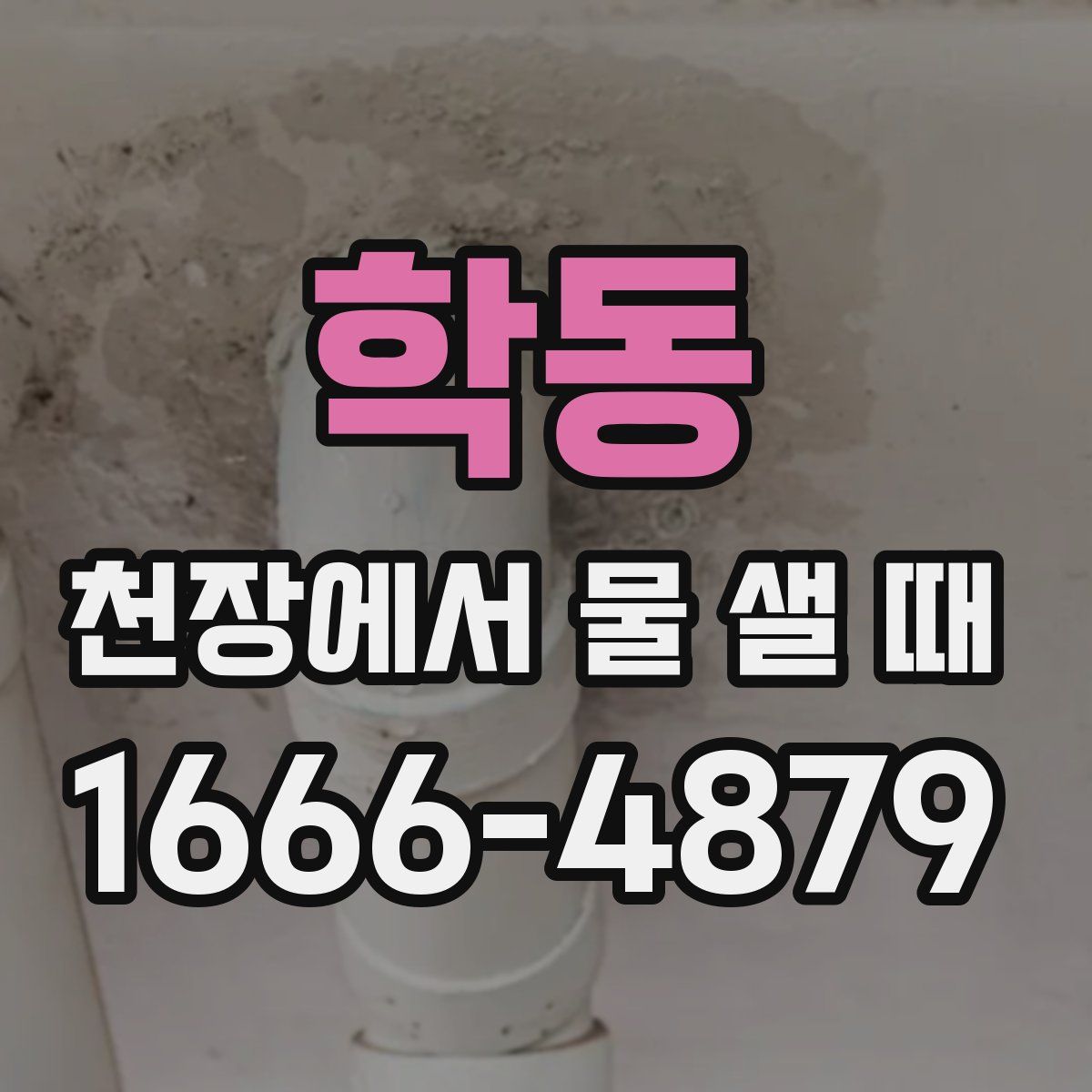 학동 천장에서 물 샐 때
