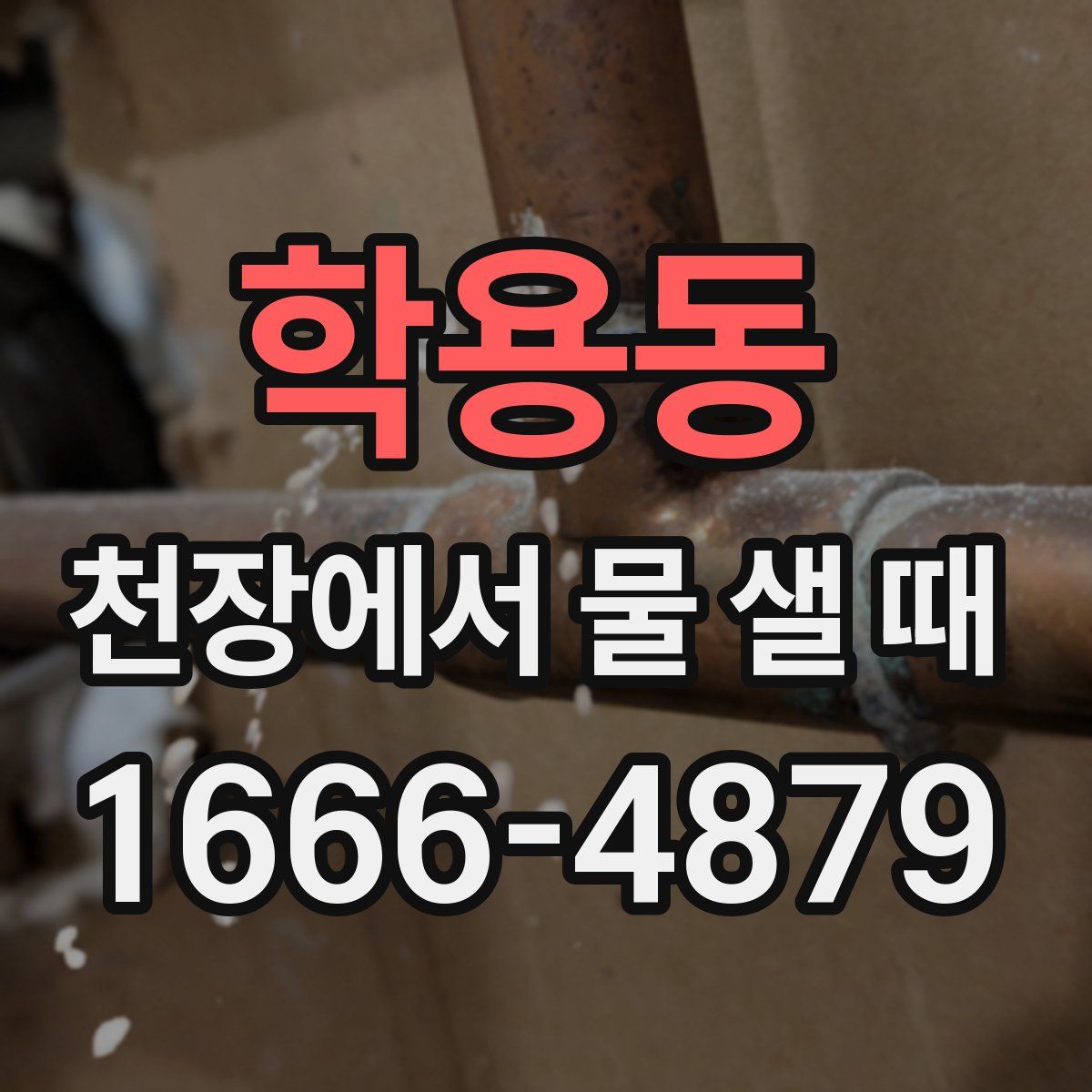학용동 천장에서 물 샐 때