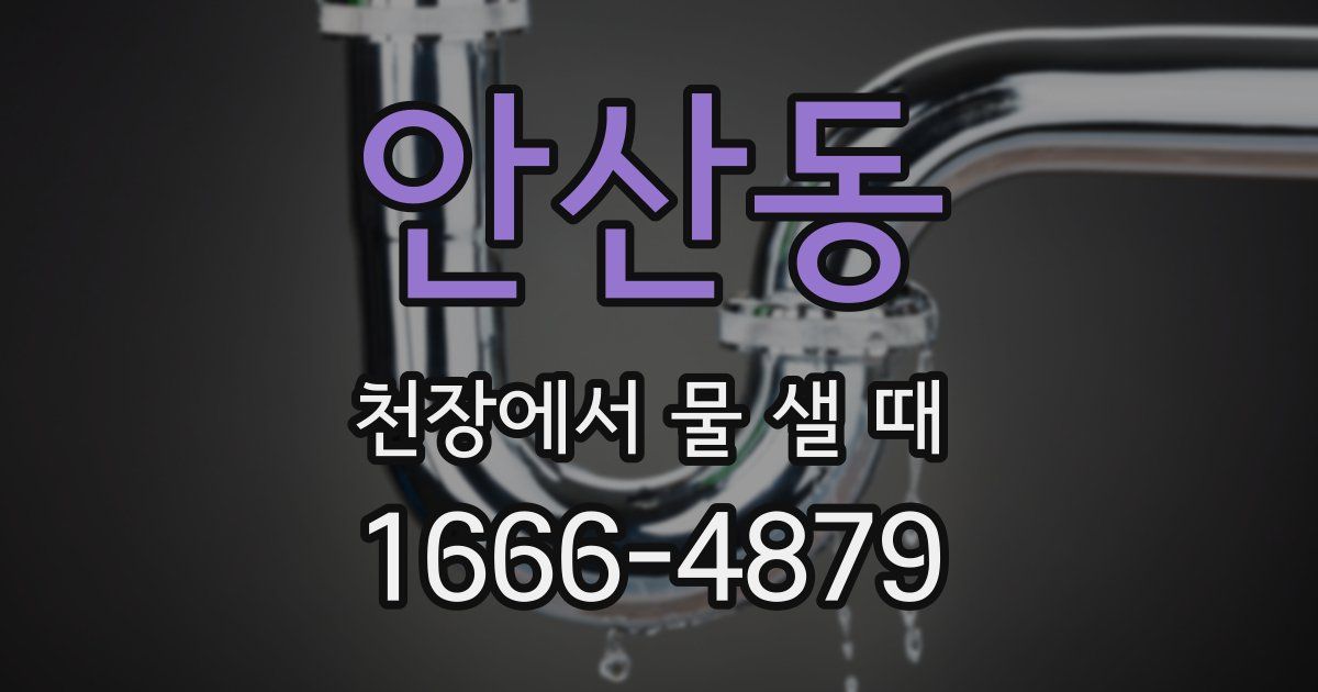 안산동 천장에서 물 샐 때