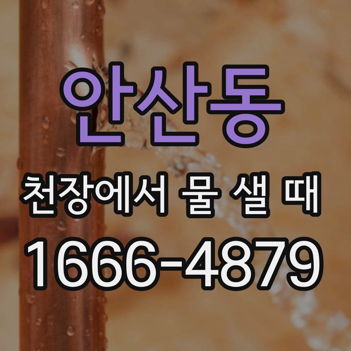 안산동 천장에서 물 샐 때
