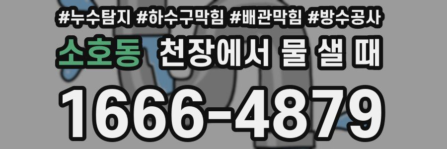 소호동 천장에서 물 샐 때