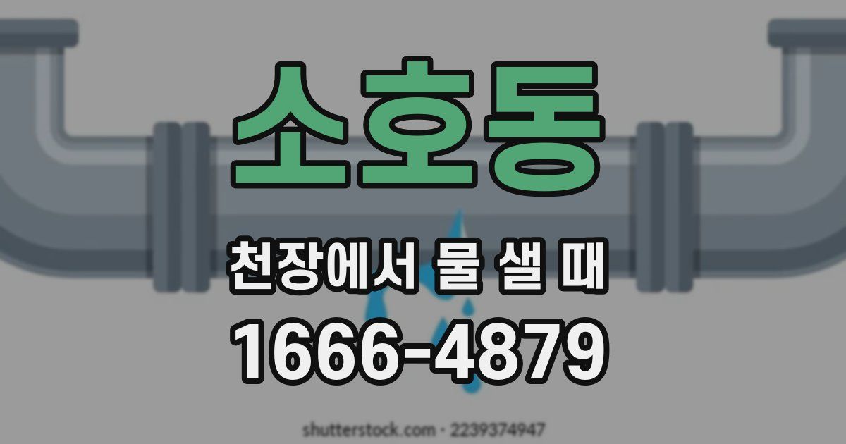 소호동 천장에서 물 샐 때