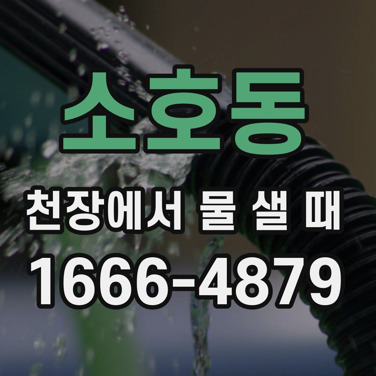 소호동 천장에서 물 샐 때