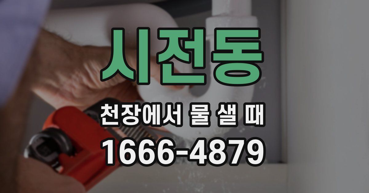 시전동 천장에서 물 샐 때