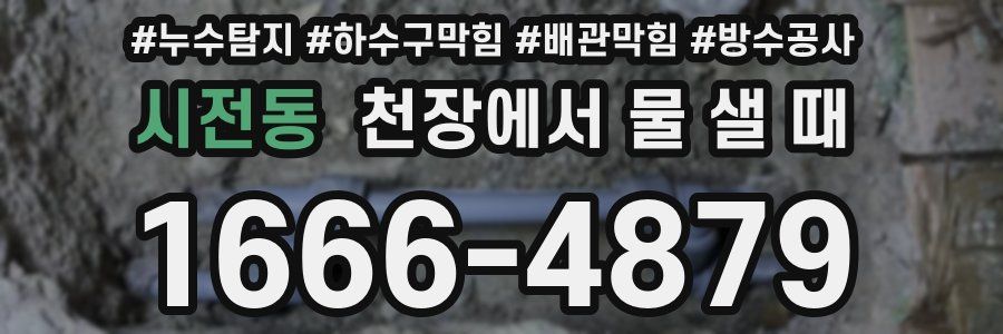 시전동 천장에서 물 샐 때