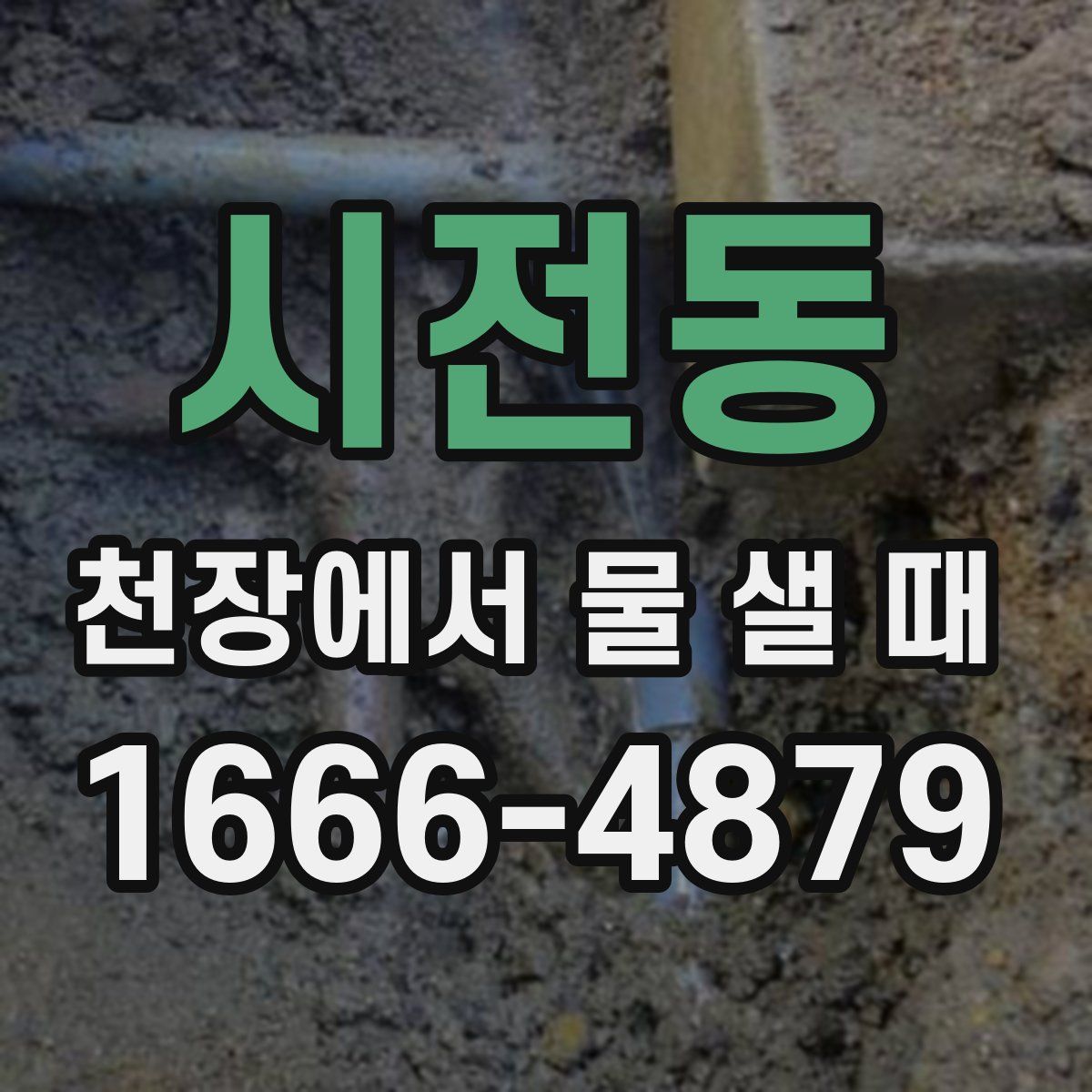 시전동 천장에서 물 샐 때