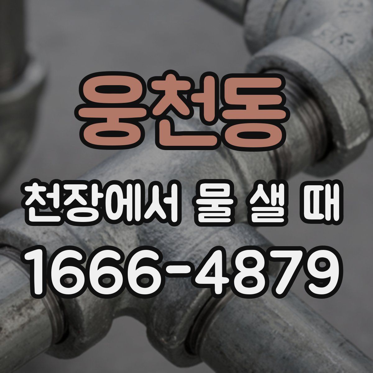 웅천동 천장에서 물 샐 때