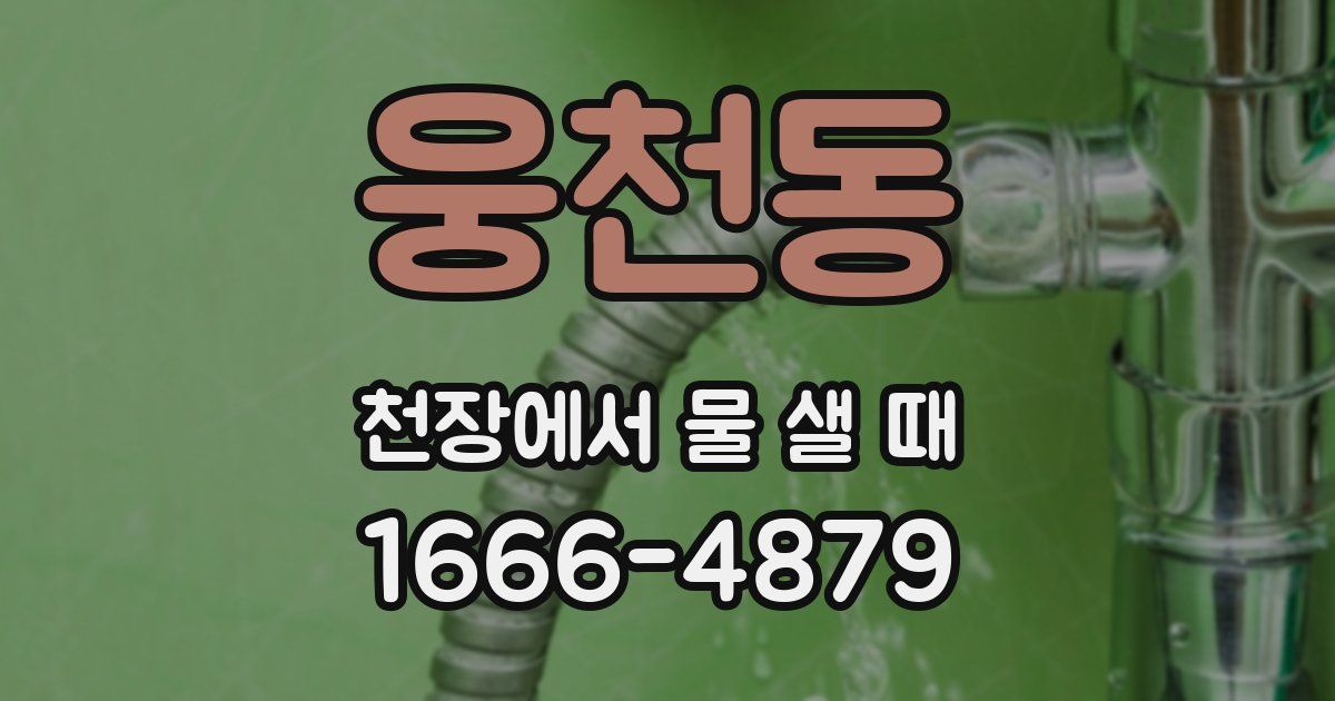 웅천동 천장에서 물 샐 때