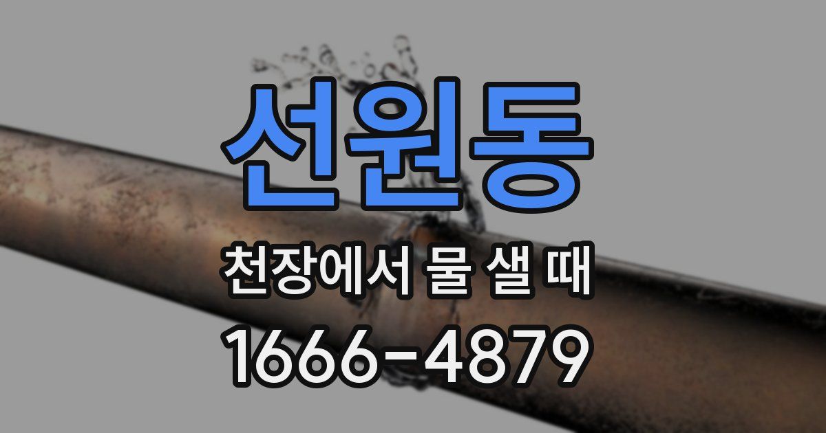 선원동 천장에서 물 샐 때