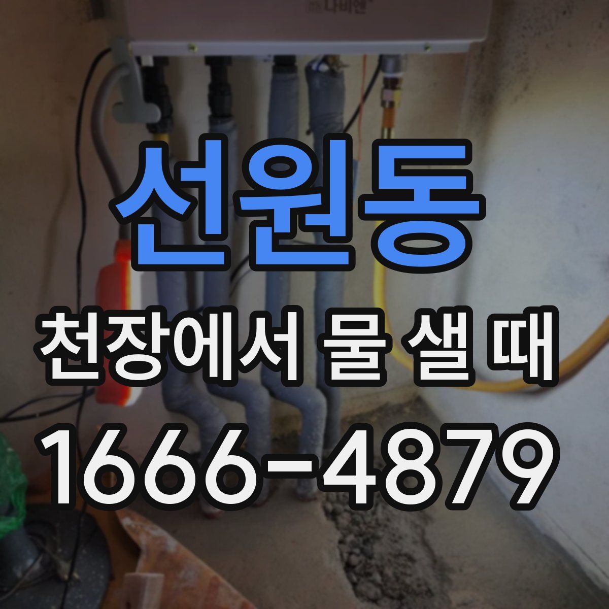 선원동 천장에서 물 샐 때