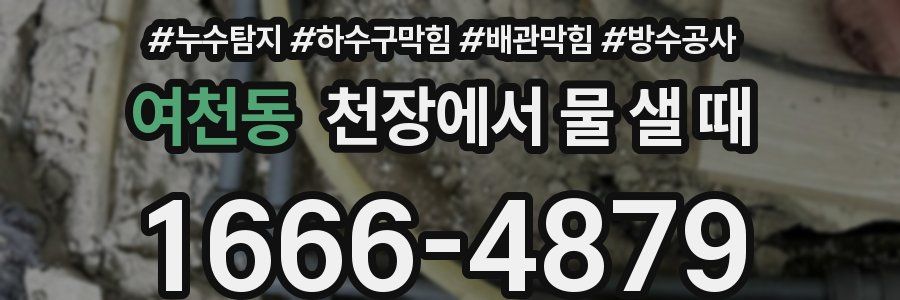여천동 천장에서 물 샐 때