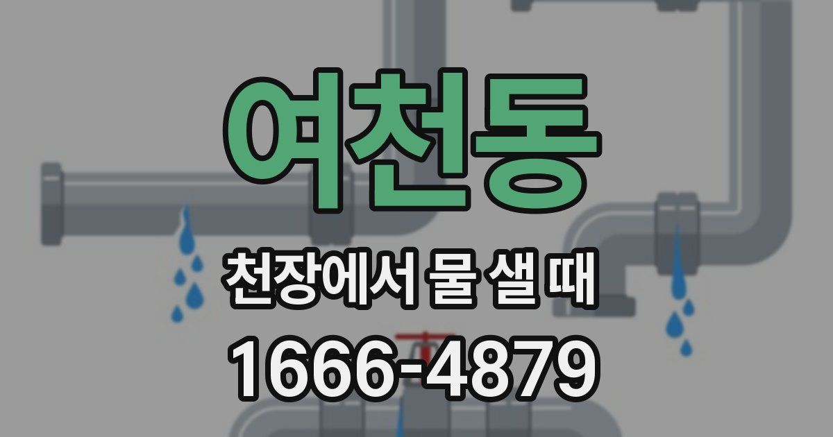 여천동 천장에서 물 샐 때