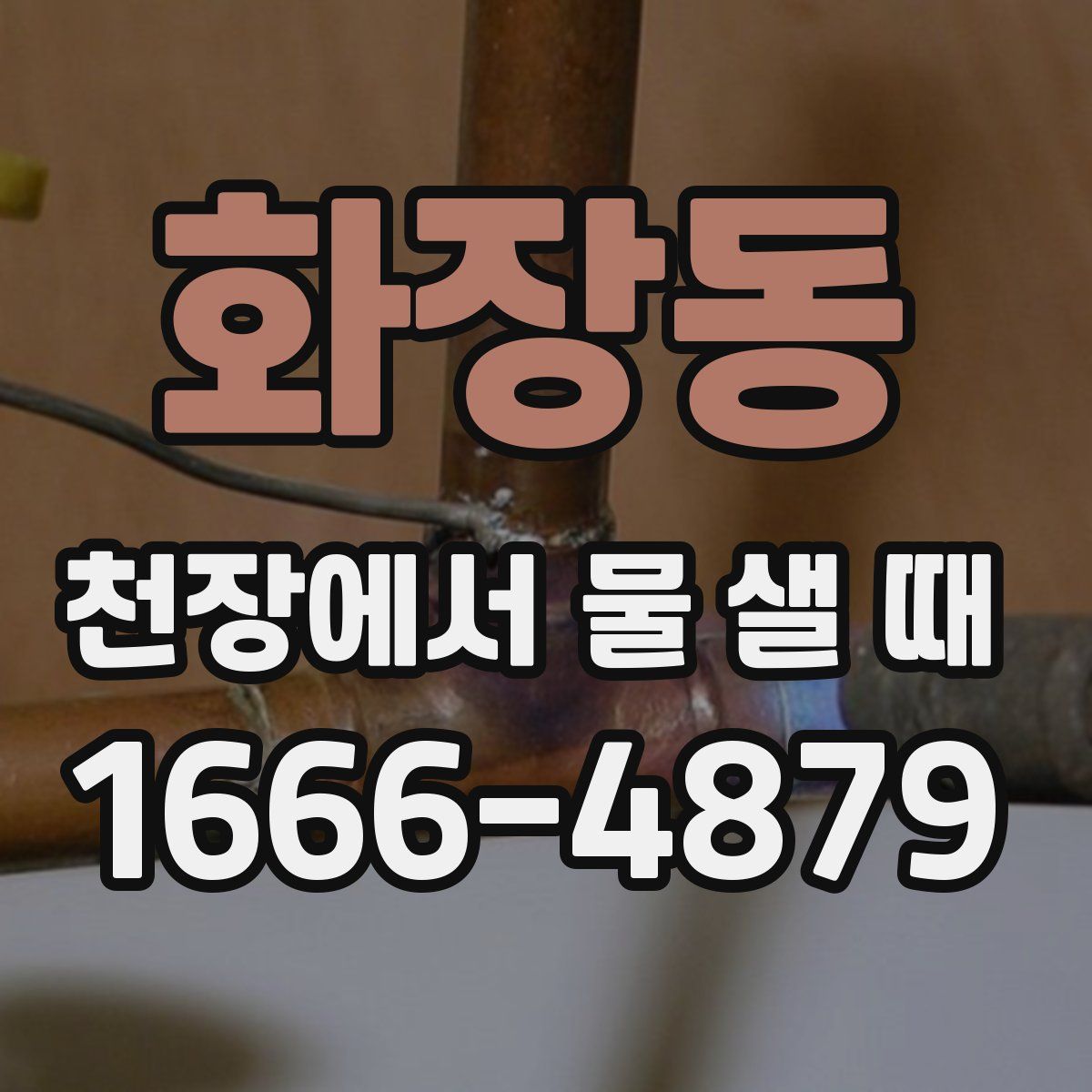 화장동 천장에서 물 샐 때