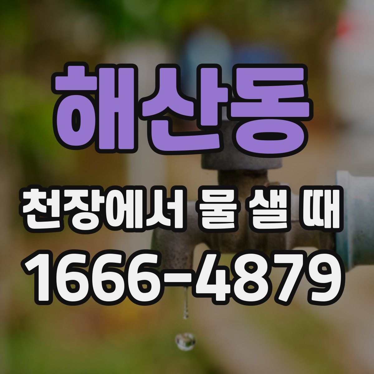 해산동 천장에서 물 샐 때
