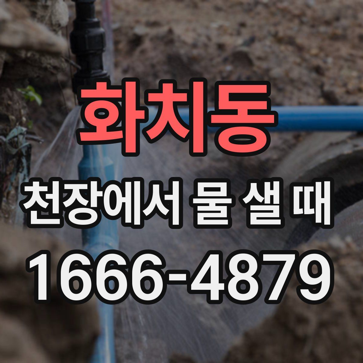 화치동 천장에서 물 샐 때