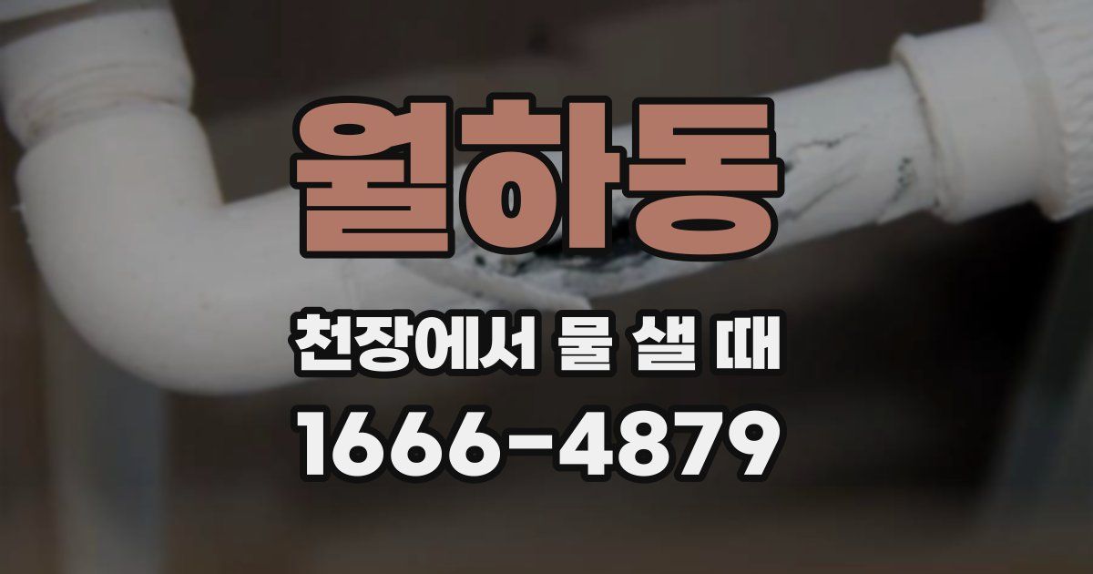 월하동 천장에서 물 샐 때