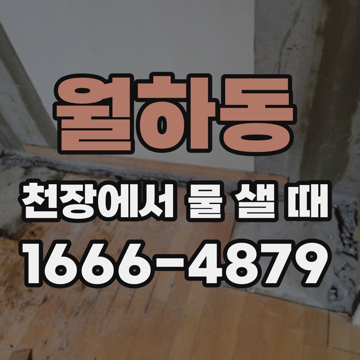 월하동 천장에서 물 샐 때