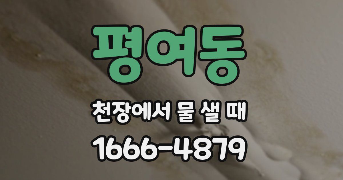 평여동 천장에서 물 샐 때