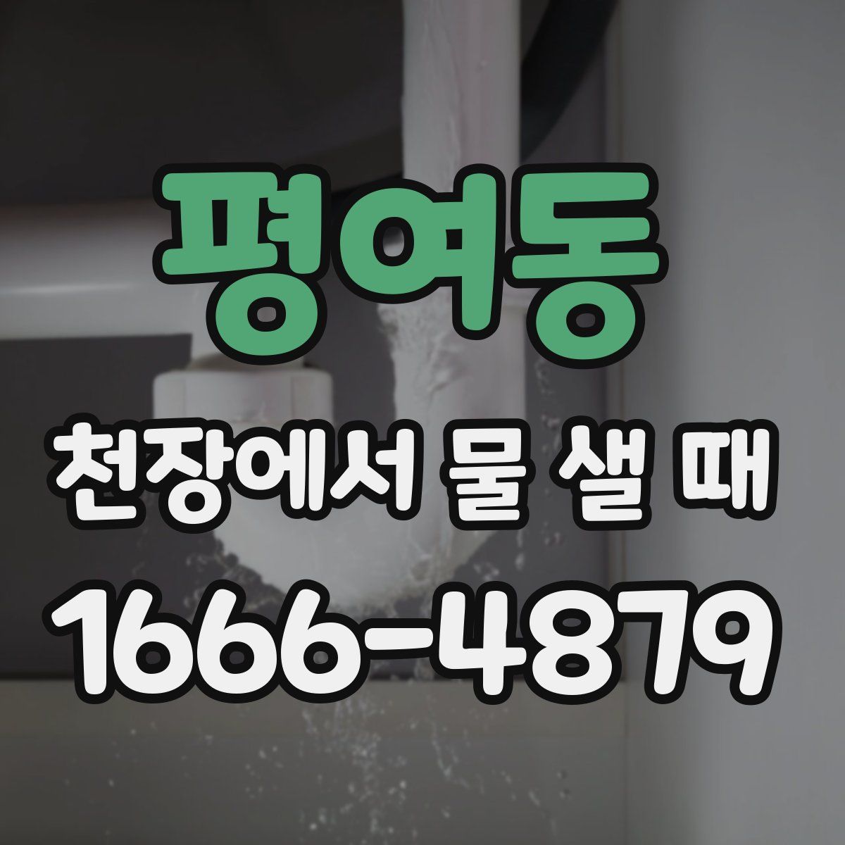 평여동 천장에서 물 샐 때