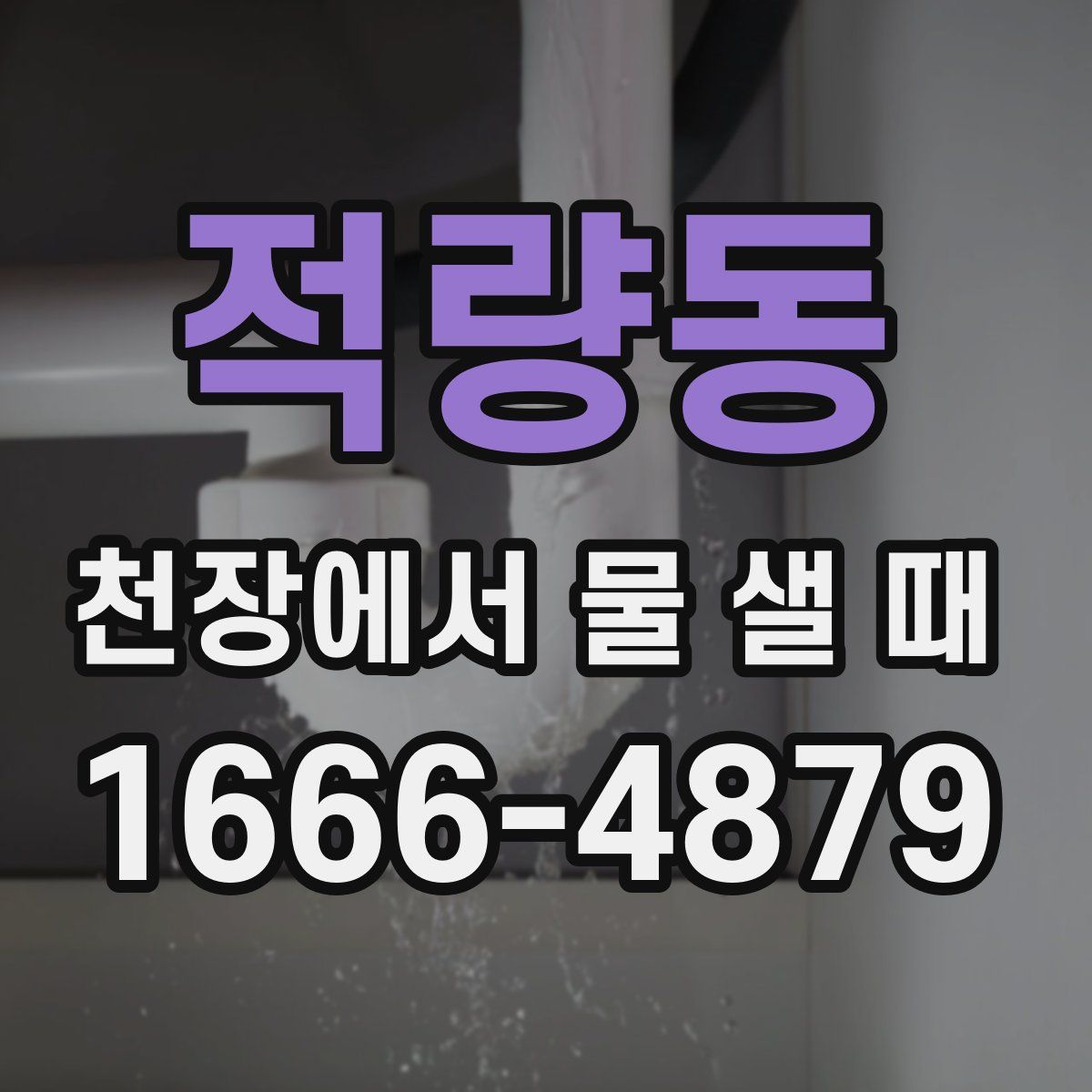 적량동 천장에서 물 샐 때