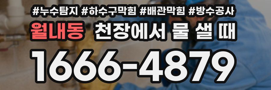 월내동 천장에서 물 샐 때