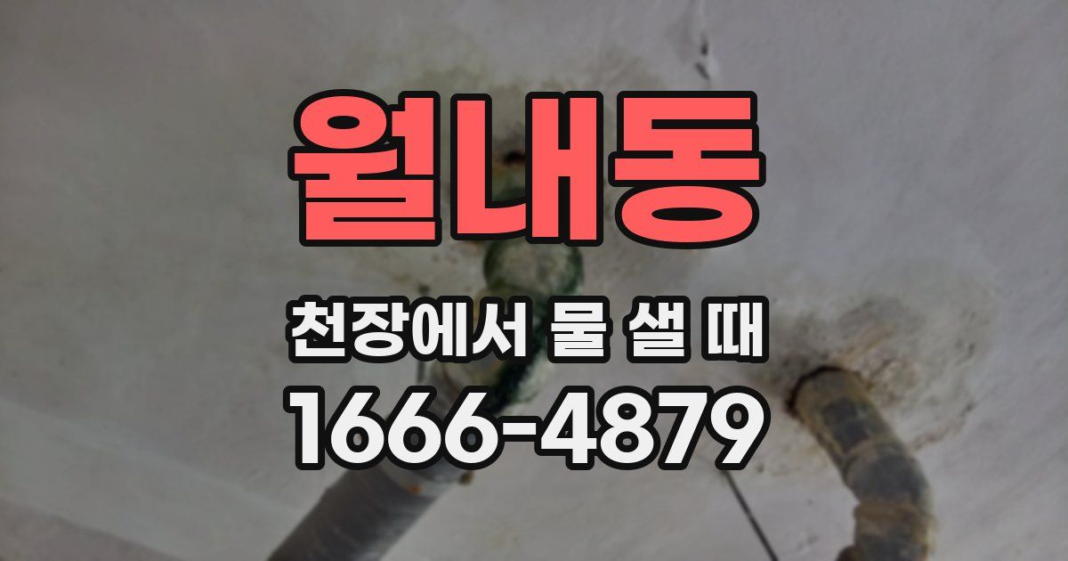 월내동 천장에서 물 샐 때