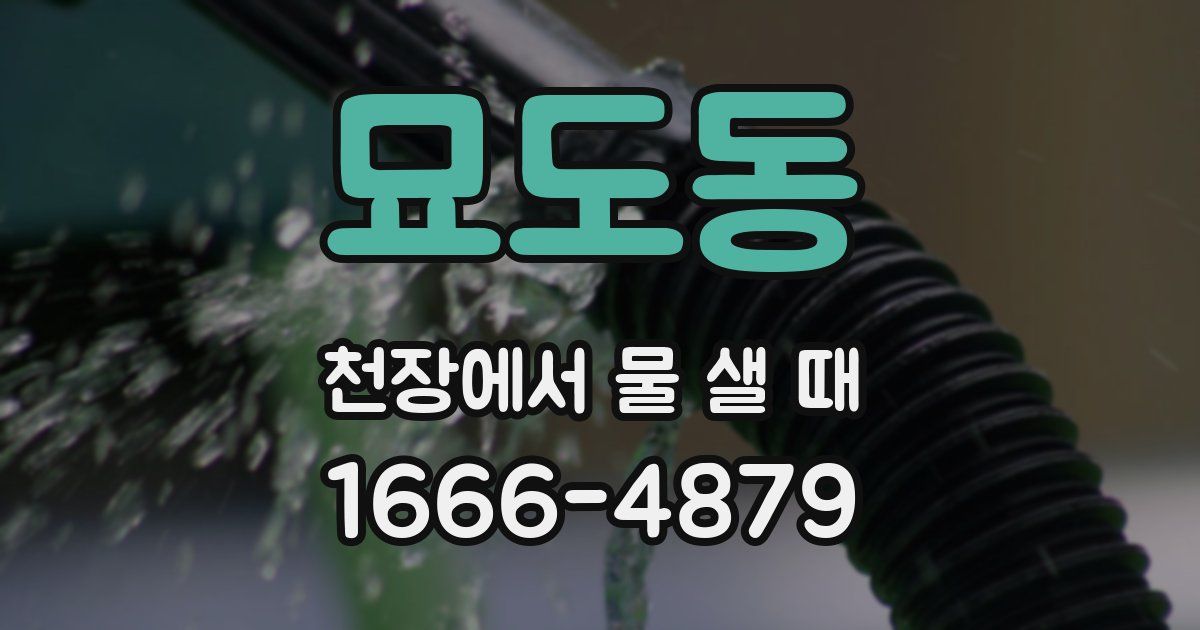 묘도동 천장에서 물 샐 때