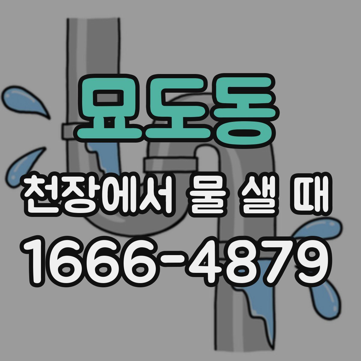 묘도동 천장에서 물 샐 때