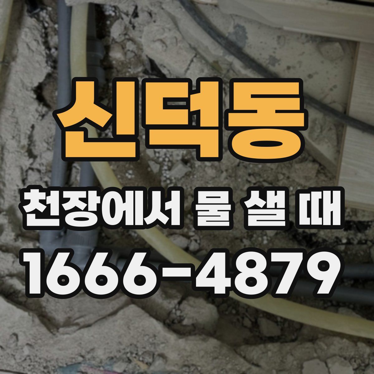 신덕동 천장에서 물 샐 때