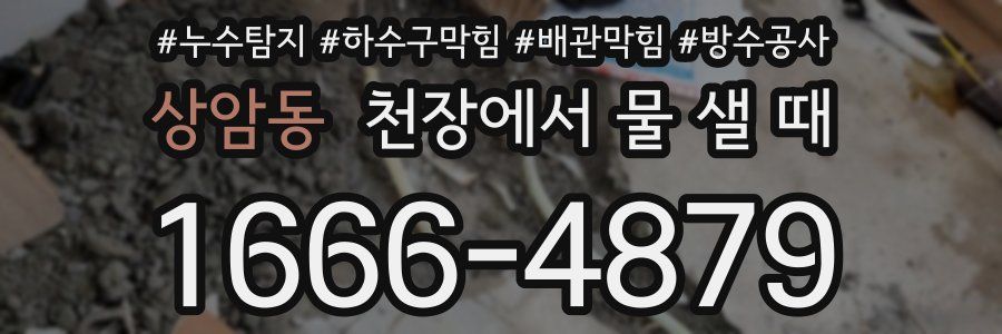 상암동 천장에서 물 샐 때