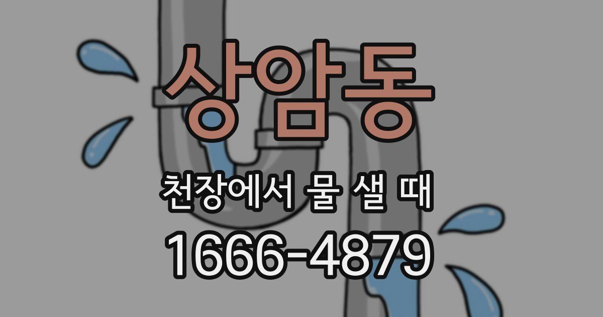 상암동 천장에서 물 샐 때