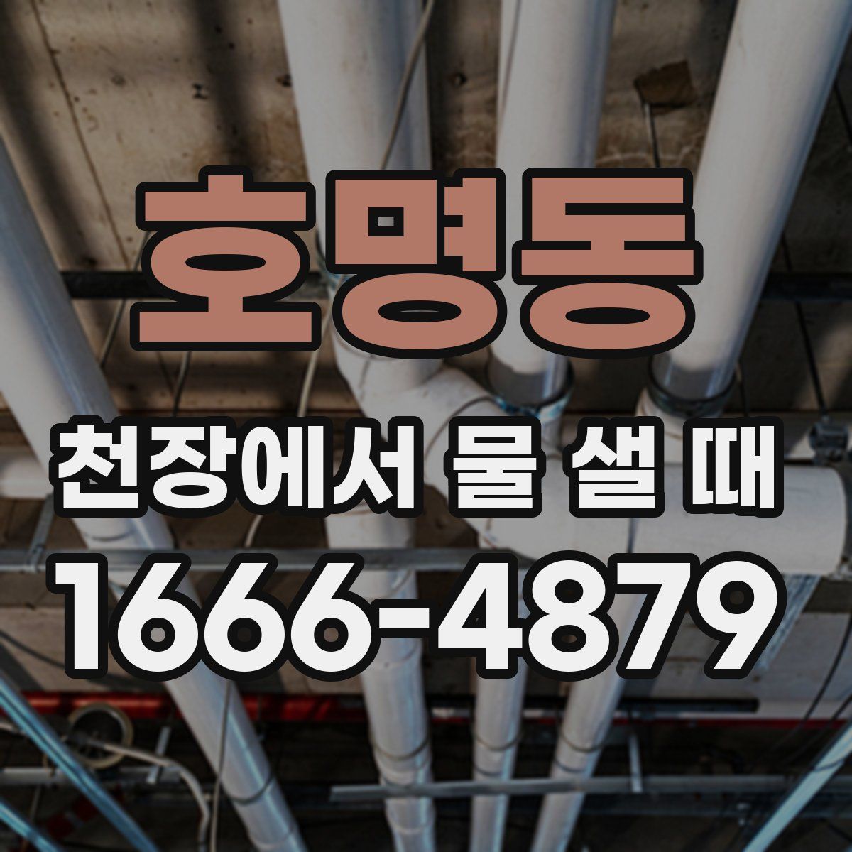 호명동 천장에서 물 샐 때
